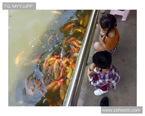 篮球明星的健康档案揭秘与运动生涯的关系分析