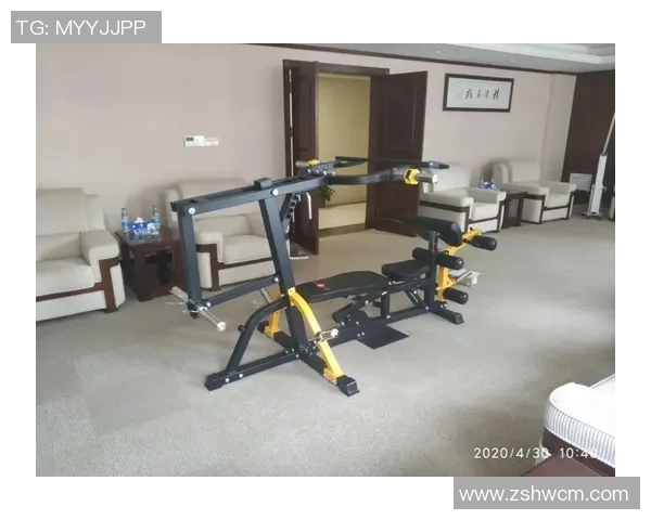 优质健身体育器材生产厂家助力健康生活提升运动体验